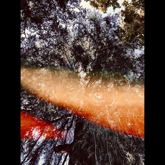 Art Print Lovely Star * Original Photography - Picture 2 of 6